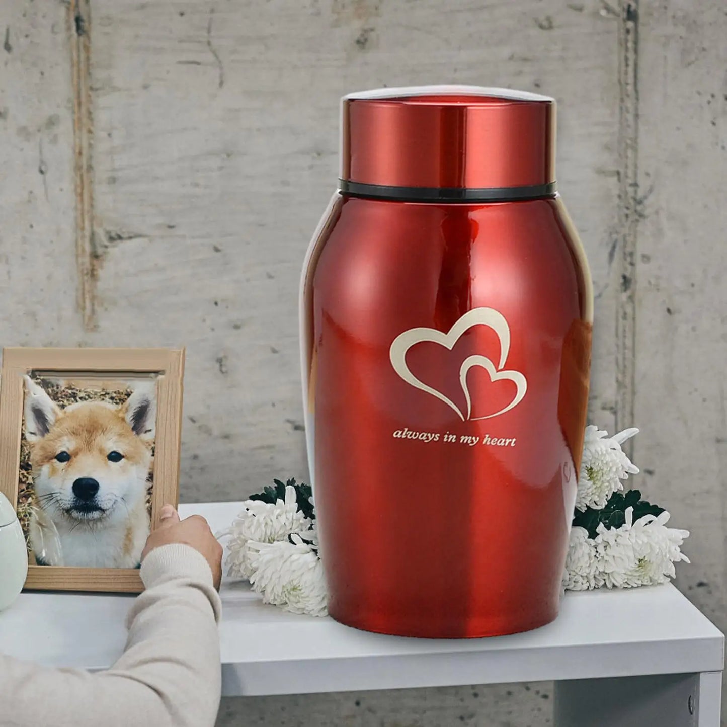 Memorials Pet Urn Storage Container Portable Keeping Precious Memories Memorial Ash Holder for Rabbit Dogs Kitty Cat Kitten - key words