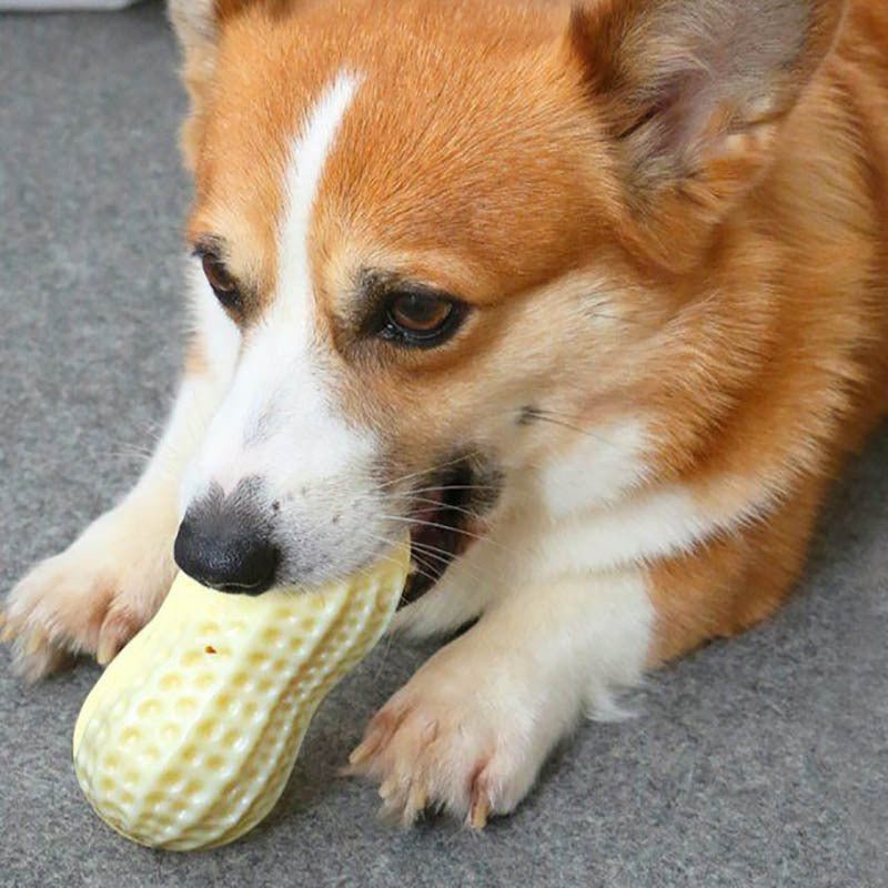 Funny Pet Dog Squeaky Toys For Small Middle Dogs Bite Resistant Puppy Cat Dogs Toys Pets Rubber Peanut Clean Tooth Chew Toy - key words