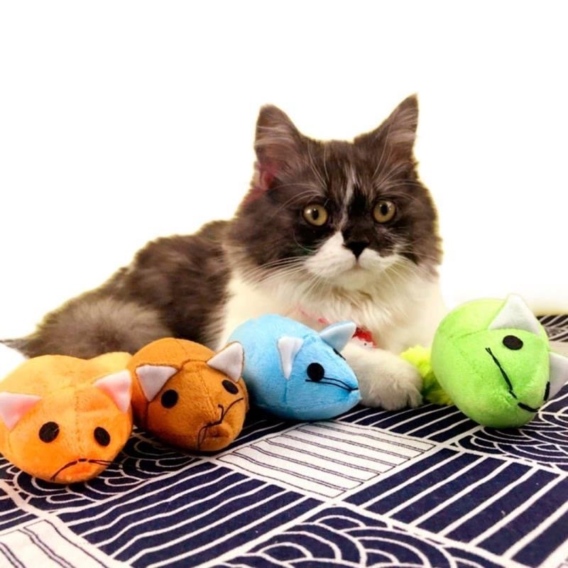 Long Tail Mouse Cat Teaster Toys Funny Pet Toys Cat Toys Mouse Trainning Funny Playing Toys Interactive Pets Products - key words