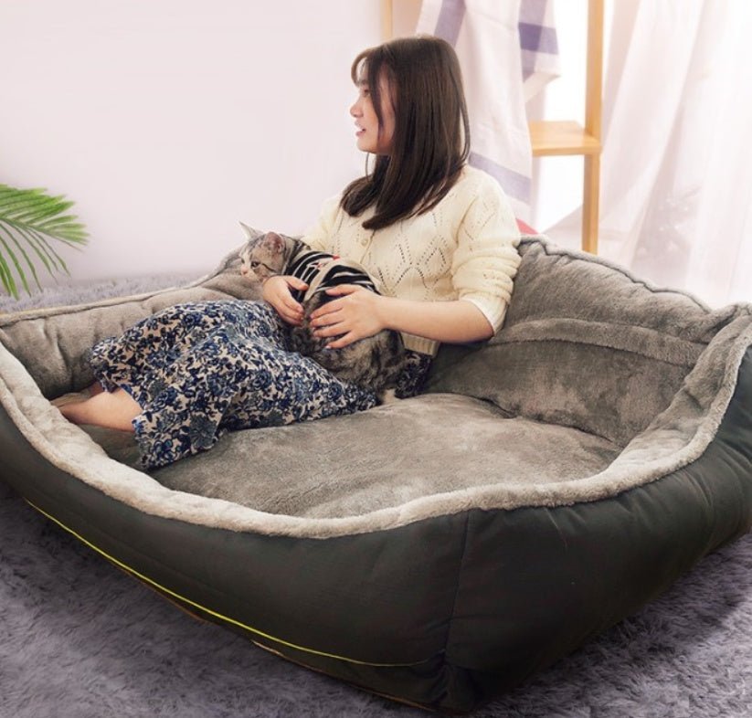 Dog bed sofa bed - key words