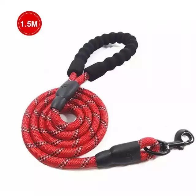Small Medium Sized Pet Dog Luminous Leash Chain Puppies - key words