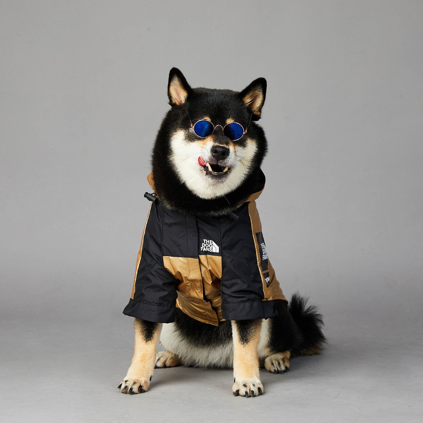 Dog Large Dog Raincoat Pet Jacket - key words