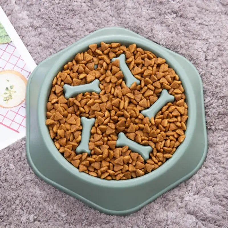 Slow Feeder Pet Bowl - Everpeakgoods