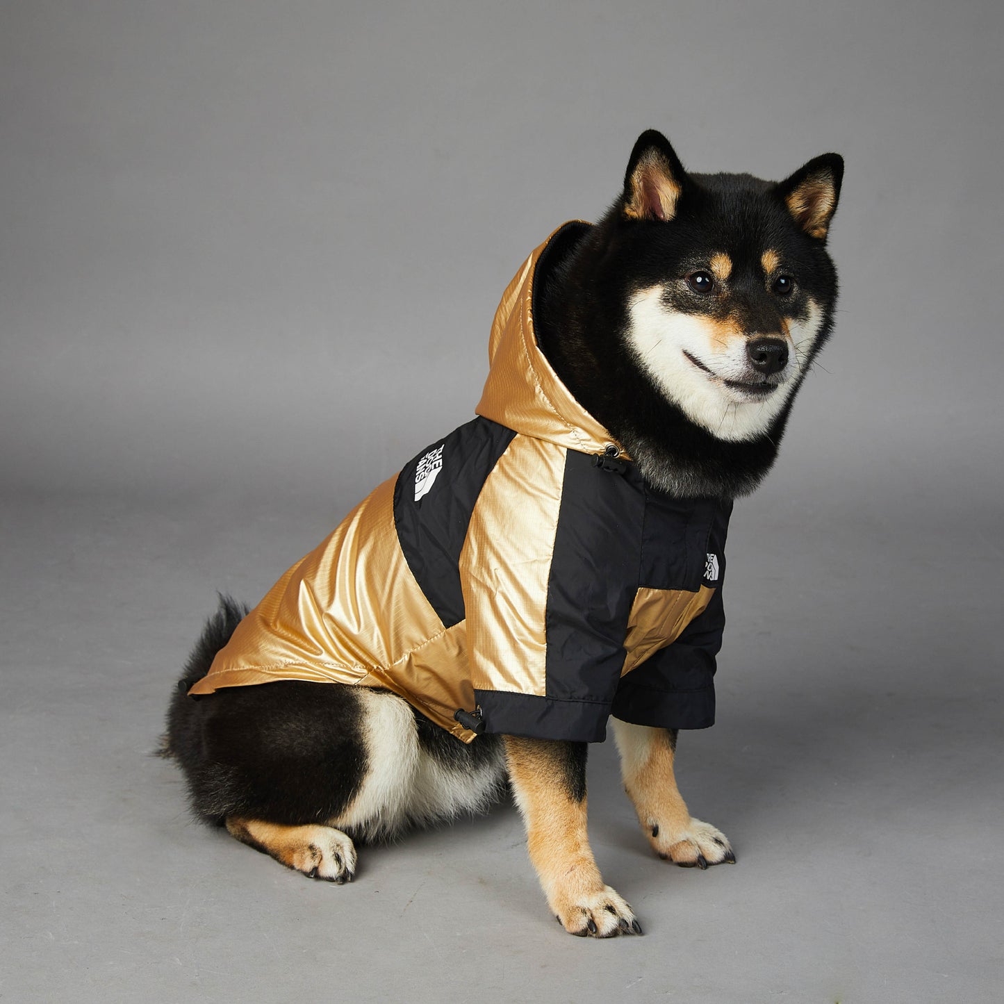 Dog Large Dog Raincoat Pet Jacket - key words