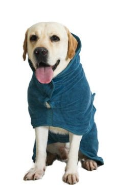 Absorbent Pet Bathrobe With Waist - wrapped Microfiber - Everpeakgoods