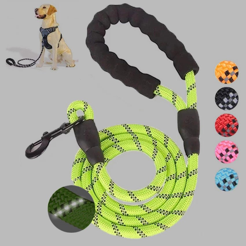 Small Medium Sized Pet Dog Luminous Leash Chain Puppies - key words