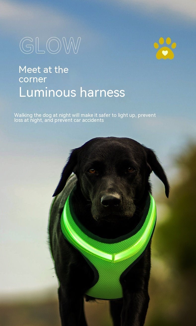 LED Luminous Dog Harness Led USB Charging Dog Chest Strap Vest Pet Safety Reflective Harness Pet Vest For Puppy Large Dog Pet Products - key words