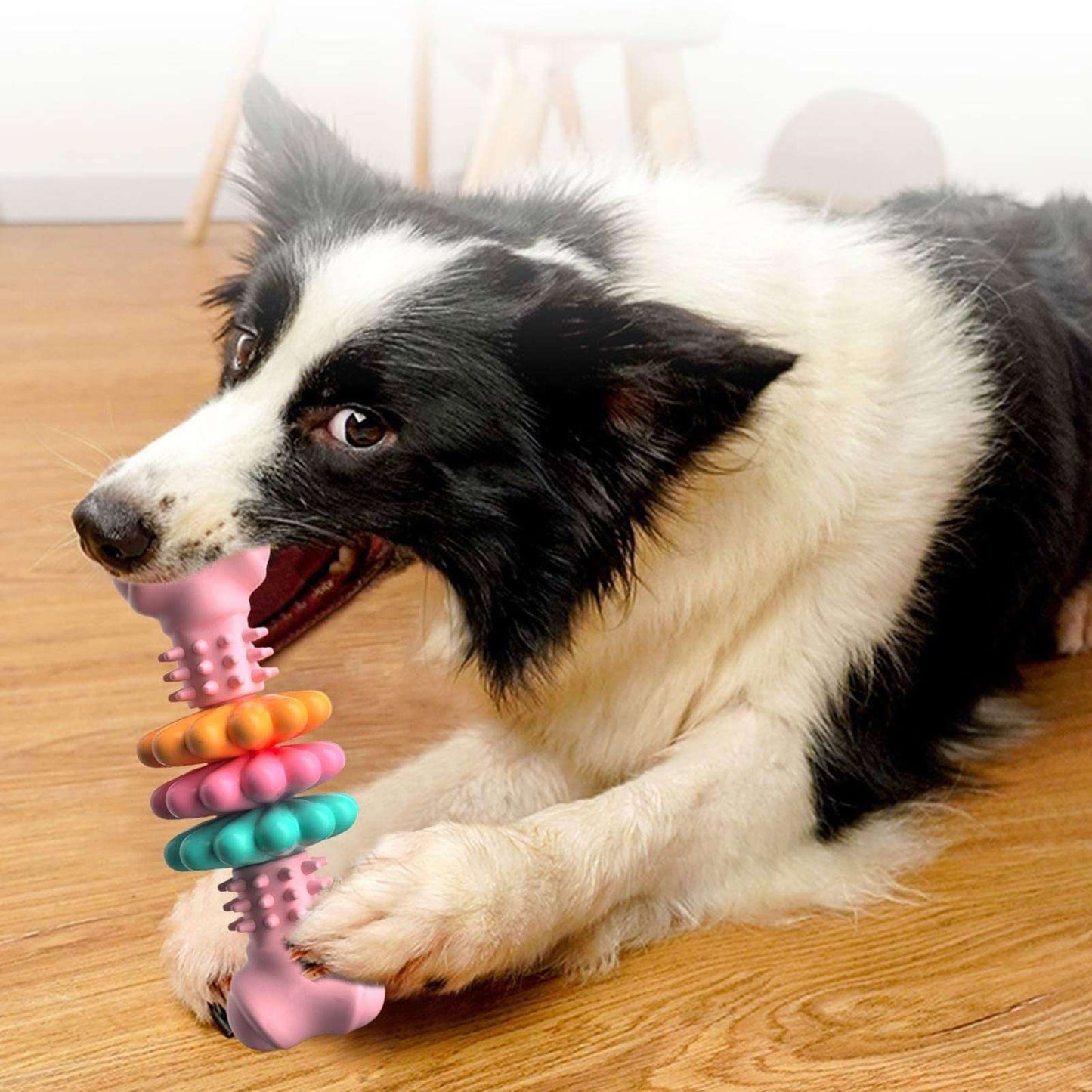 Dog Chew Toy Dog Bone Type Dogs Teeth Cleaning Toys Indestructible TPR Bone Chewing Bite Resistant Teething Toys Pet Products - key words