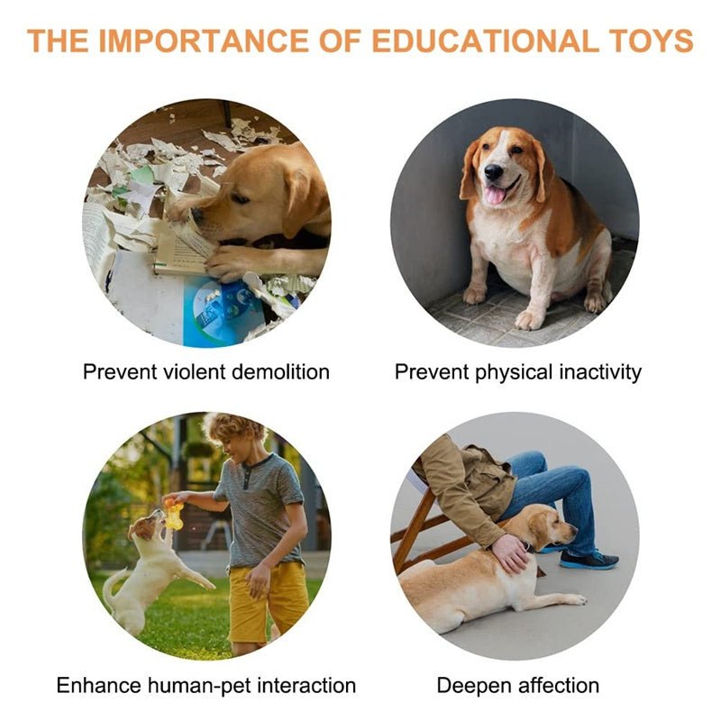 4 Colors Pet Communication Button One - click Prevent Physical Inactivity Recordable Dog Talking Button Toy Cat Toy Pet Products - Everpeakgoods