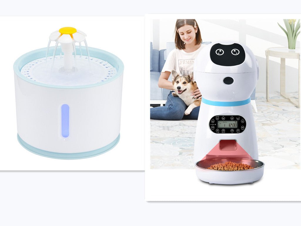Automatic pet feeder - key words