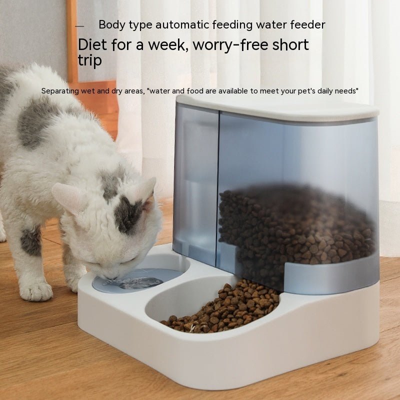 Pet Visual Automatic Pet Feeder - key words