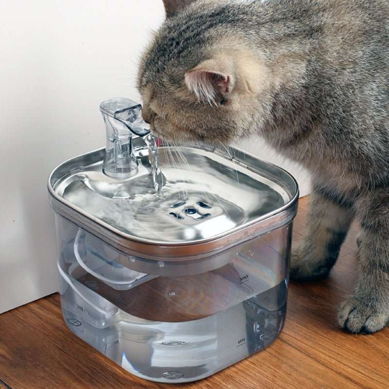 Pet Cat Dog Stainless Steel Automatic Circulation Water Dispenser Intelligent Fountain Pets Accessories - key words