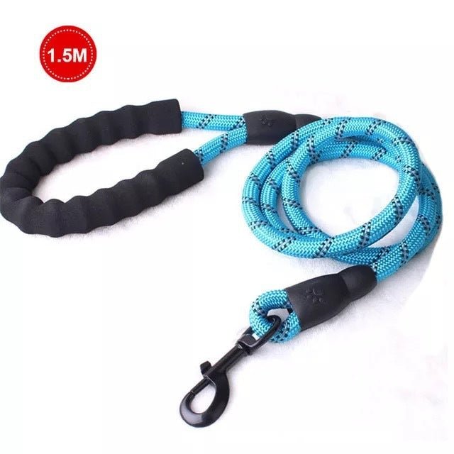 Small Medium Sized Pet Dog Luminous Leash Chain Puppies - key words