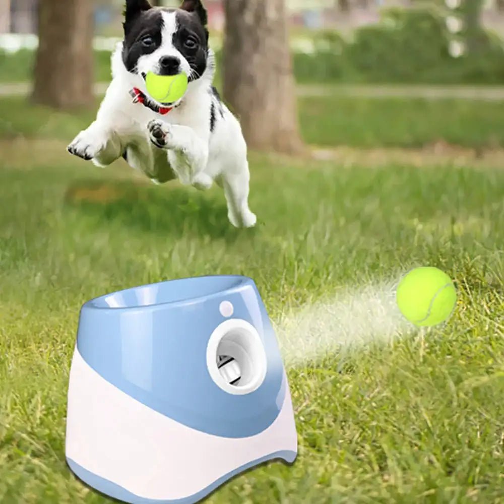 Automatic Tennis Ball Launcher - Everpeakgoods