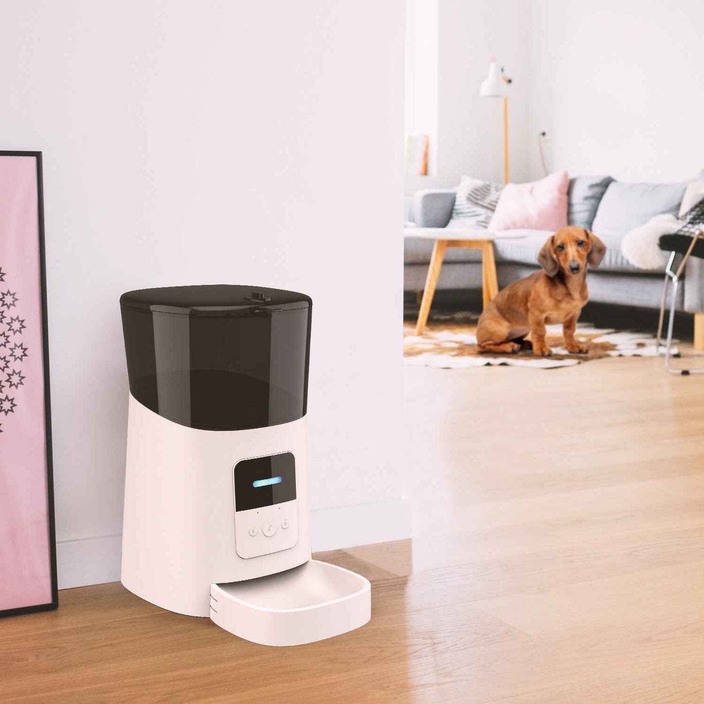 Everpeakgoods Smart Pet Food Dispenser with Timer