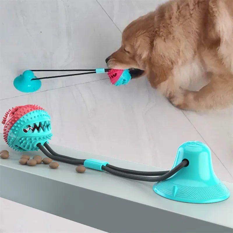 Suction Ball Interactive Dog Toy - Everpeakgoods