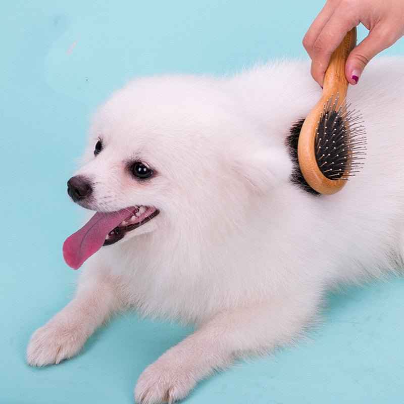 Dual-Sided Dog Grooming Brush with Wooden Handle