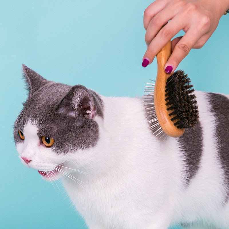 Dual-Sided Dog Grooming Brush with Wooden Handle