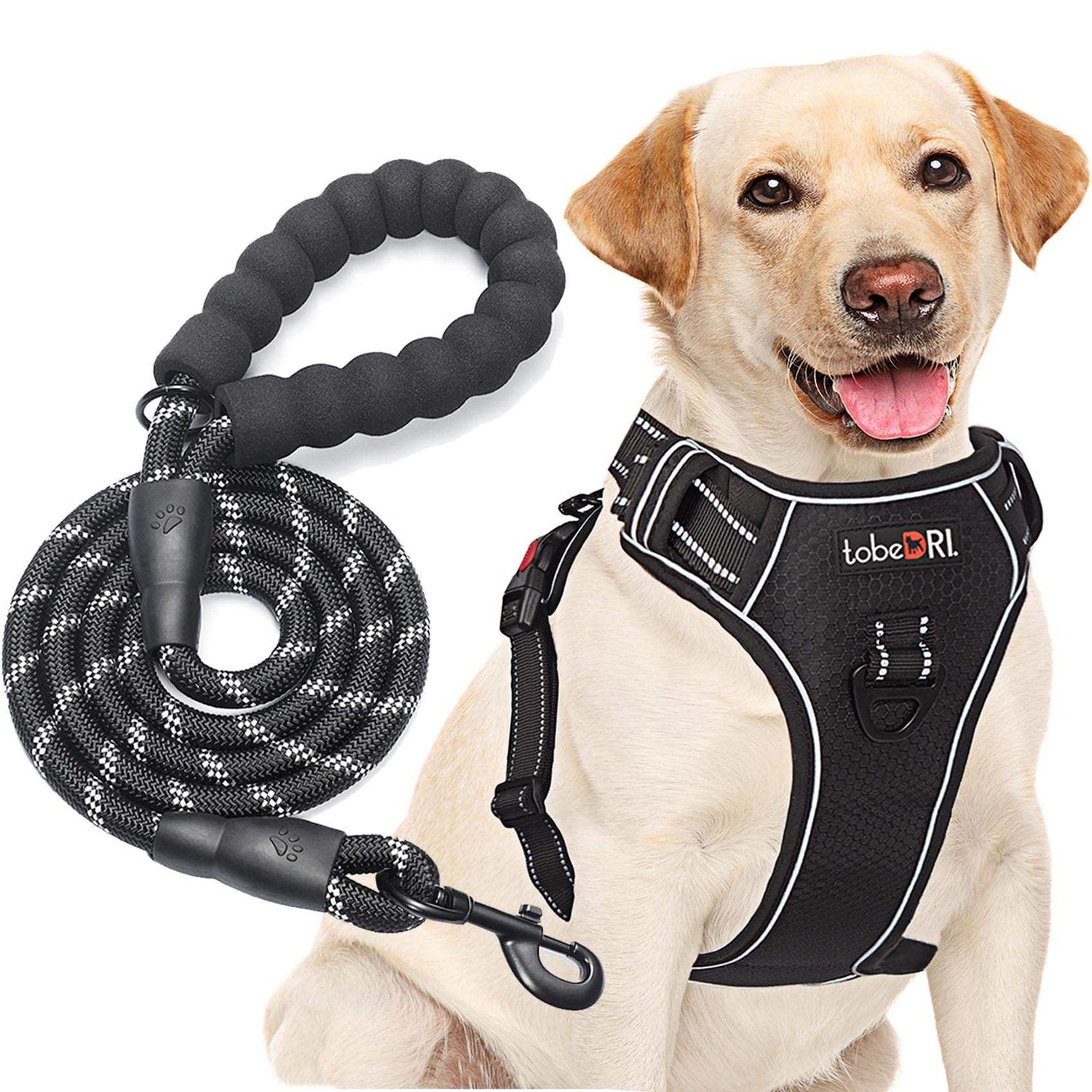 Sustainable Pet Accessories: Eco-Friendly Leashes & Harnesses - key words