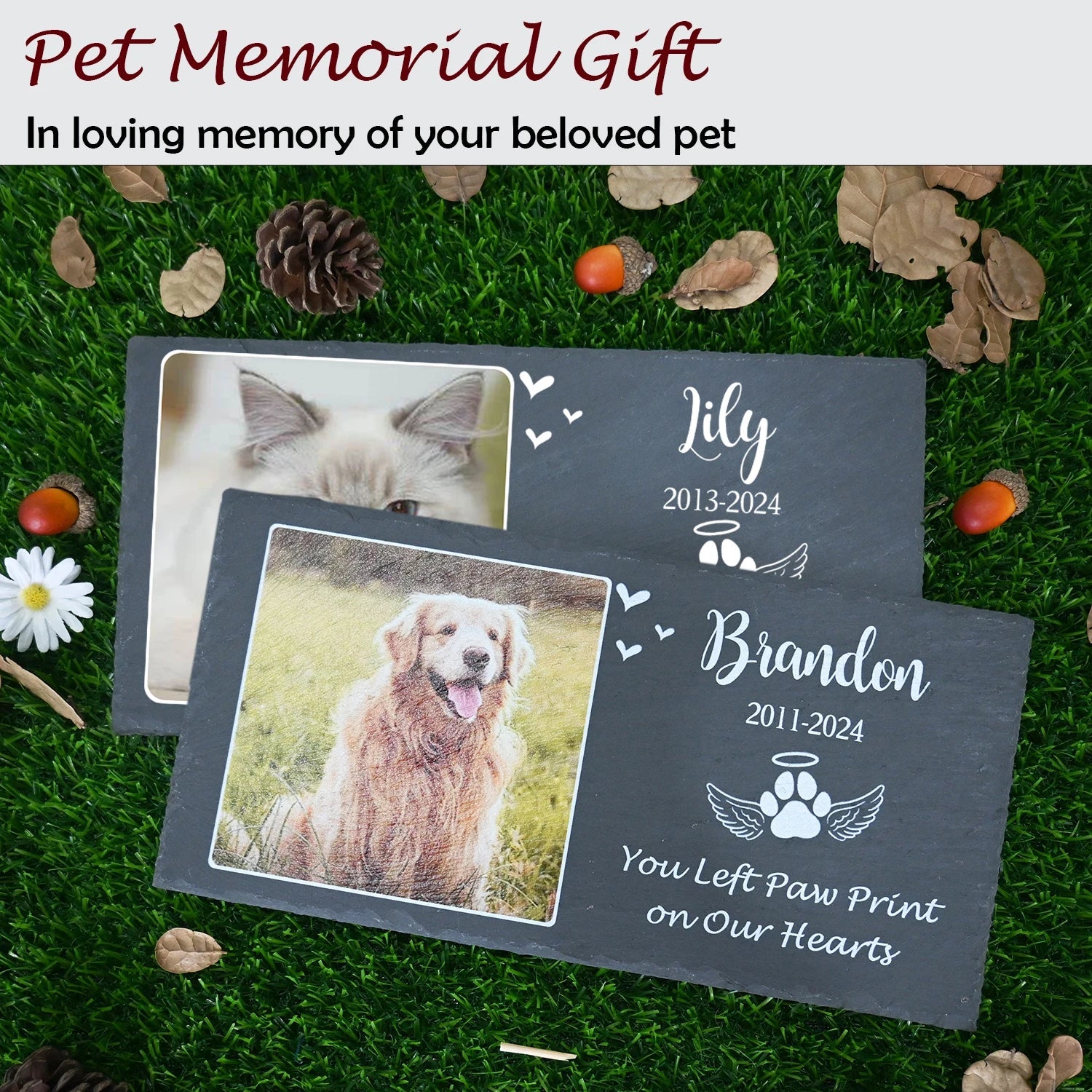 In memory of, pet memories - key words