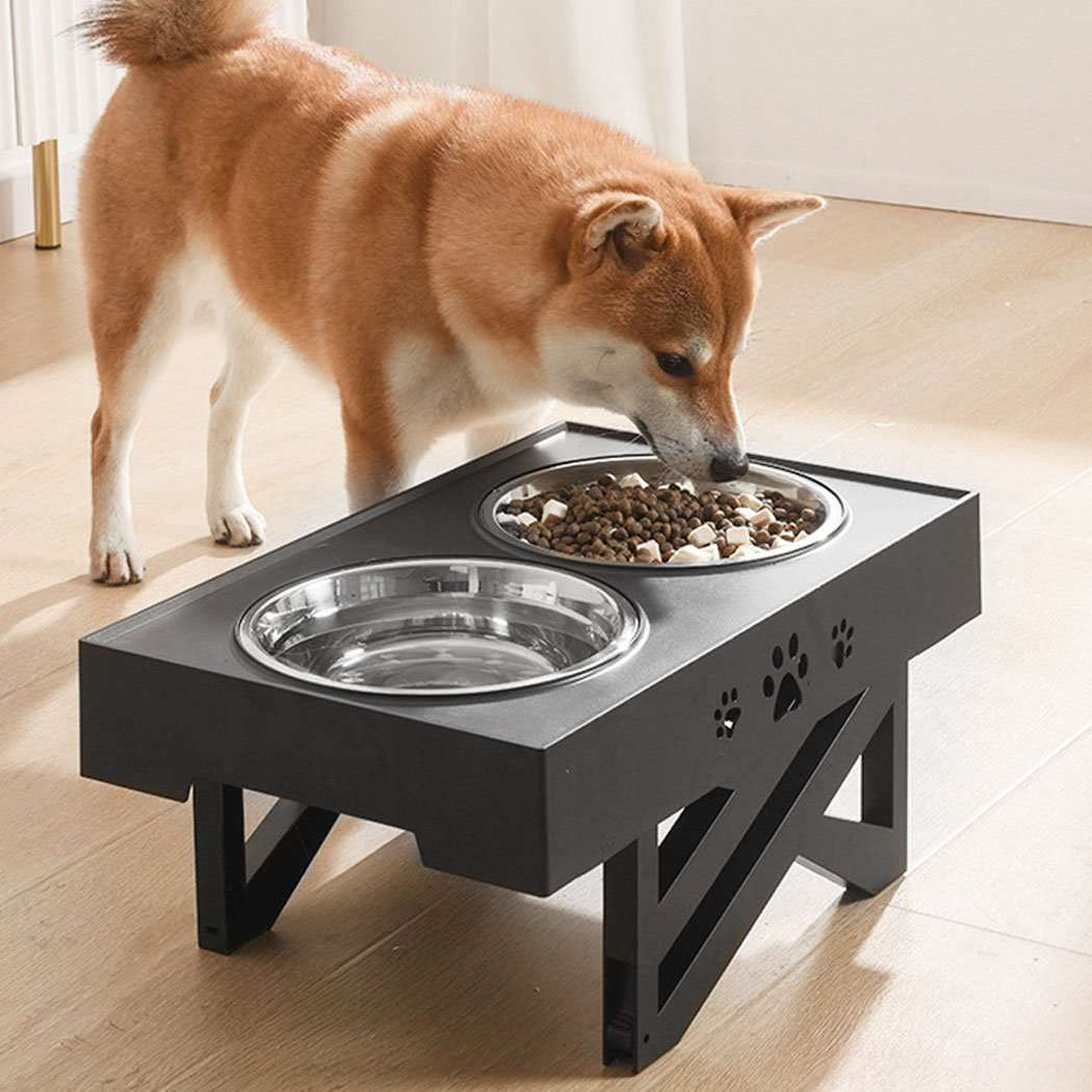 Pet Bowls & Feeders for Sustainable Feeding - key words