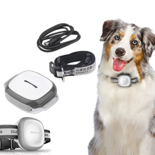 Collared Cat Dog Tracker Pet Locator Pet - key words