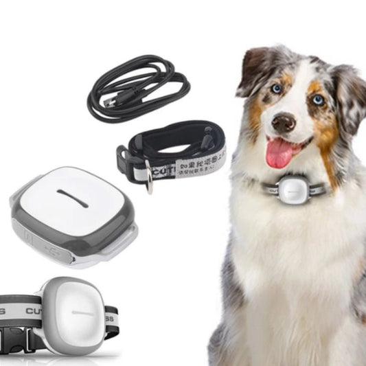 Collared Cat Dog Tracker Pet Locator Pet - key words