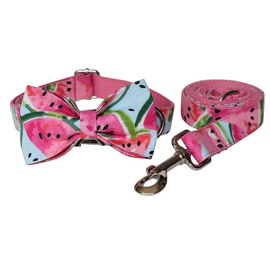 Pet Supplies Dog Collar Pet Leash - key words