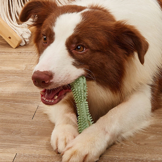 Chew Toys For Dog Teeth Cleaning - key words