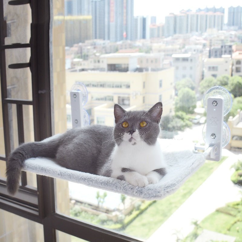 Cat Suction Cup Window Glass Hammock Pet Cat Pets Products - key words