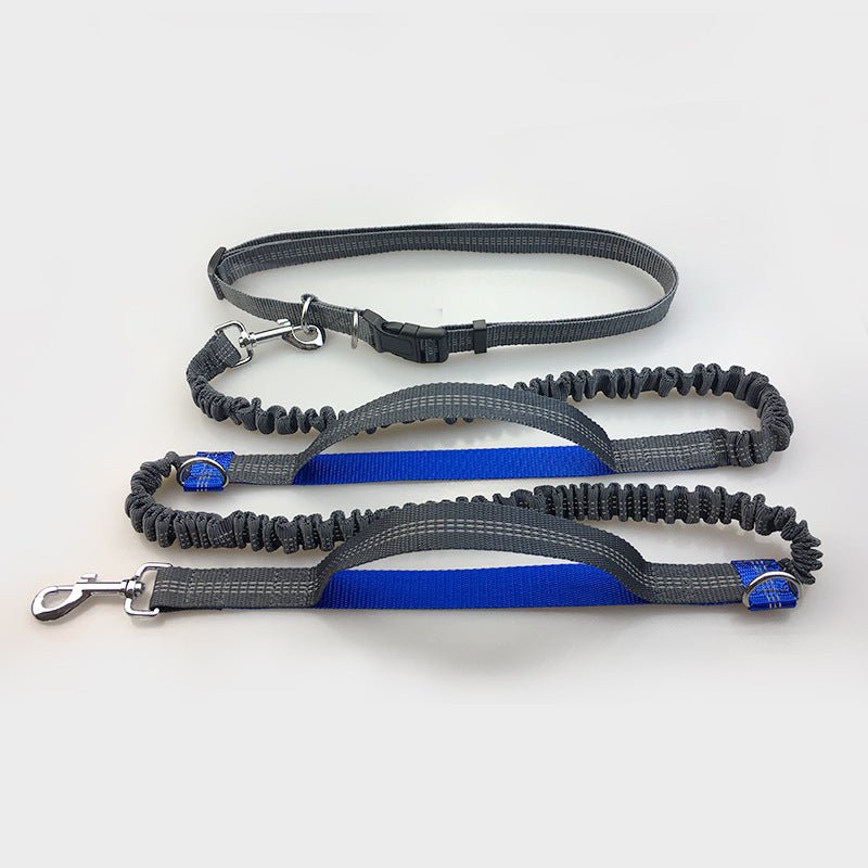 Amazon direct pet supplies multi-function running reflective pull dog leash double elastic dog leash traction - key words