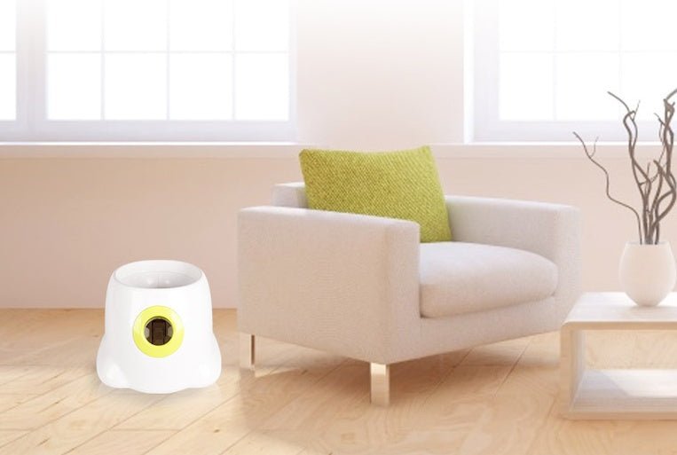 Dog Pet Automatic Interactive Ball Launcher - key words