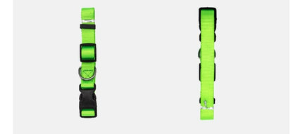 New Pet Collar - key words