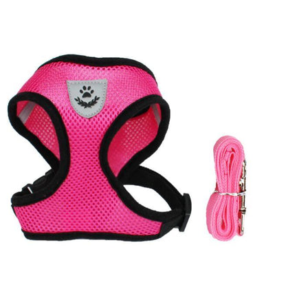 Pet Car Seat Belt Pet Leash - key words