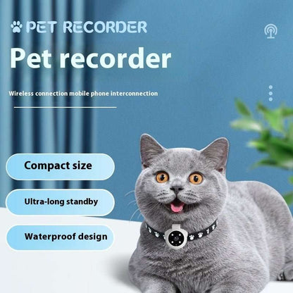 Pets Recorder Pet Tracker Collar Dogs And Cats Viewing Angle Motion Recording Camera Action Camera With Video Records Cat Collars Camera Sport Pet Products - key words