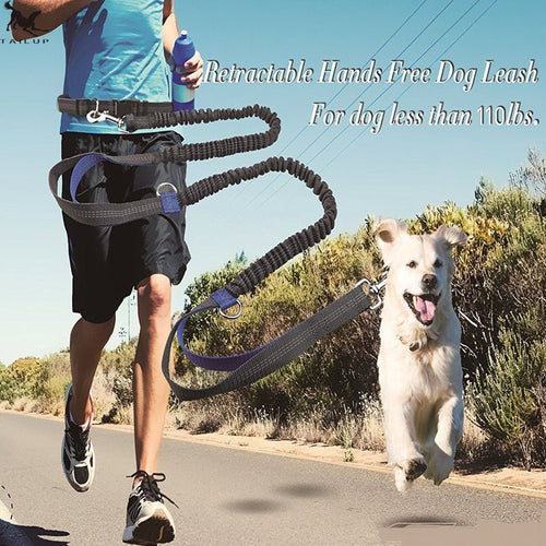 Amazon direct pet supplies multi-function running reflective pull dog leash double elastic dog leash traction - key words
