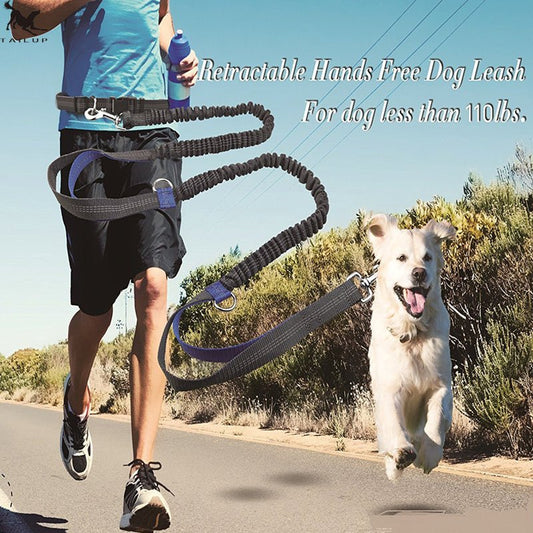 Amazon direct pet supplies multi-function running reflective pull dog leash double elastic dog leash traction - key words