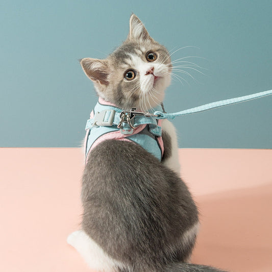 Cat Traction Rope Chest Strap To Prevent Breaking Free Pets Cat Strap - key words