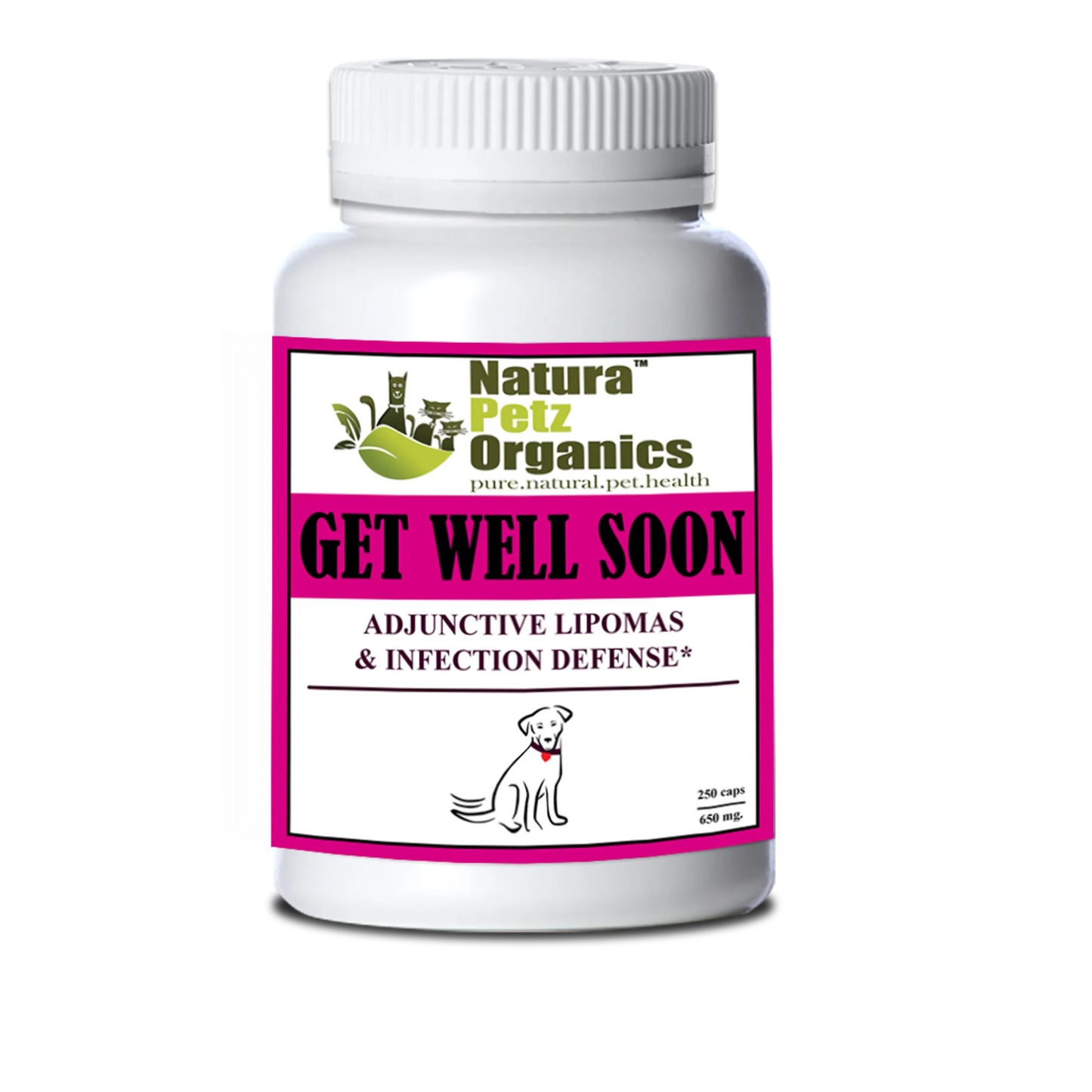 Get Well Soon - Adjunctive Lipoma + Infection Defense* - Everpeakgoods
