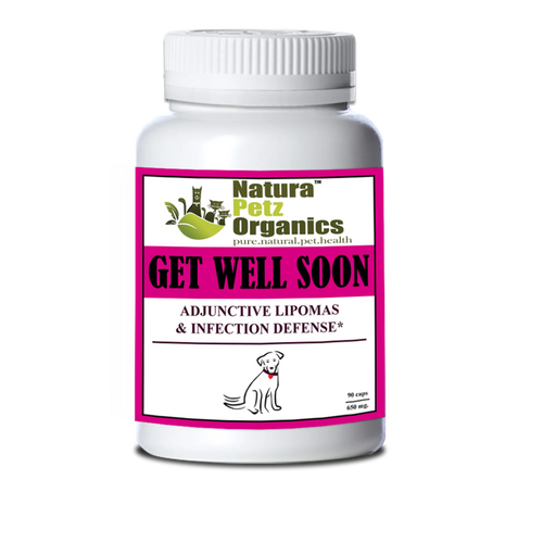 Get Well Soon - Adjunctive Lipoma + Infection Defense* - Everpeakgoods