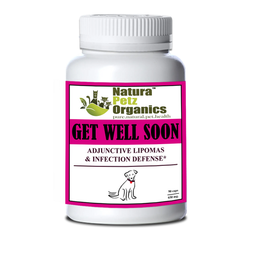 Get Well Soon - Adjunctive Lipoma + Infection Defense* - Everpeakgoods
