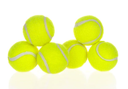 Dog Pet Automatic Interactive Ball Launcher - key words