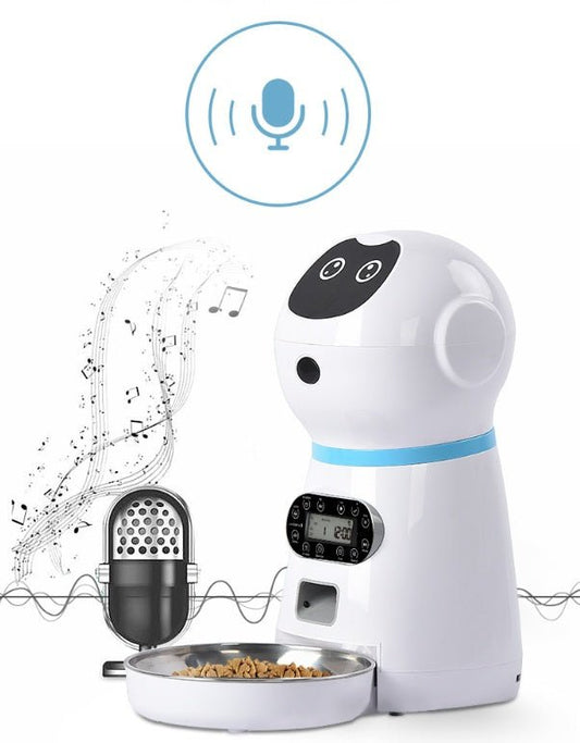 Automatic pet feeder - key words