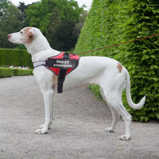 Personalized Custom Reflective Breathable Dog Harness NO PULL Adjustable Pet Harness For Small Large Dog Harness Vest With Patch - key words
