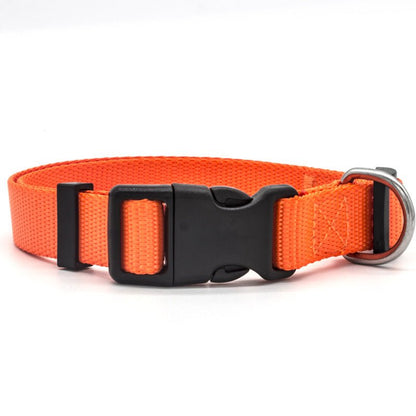 New Pet Collar - key words