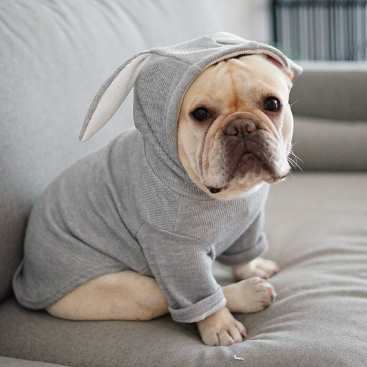 Dog Pet Clothes Spring And Autumn Clothing - key words