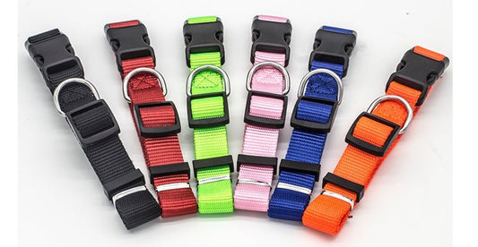 New Pet Collar - key words