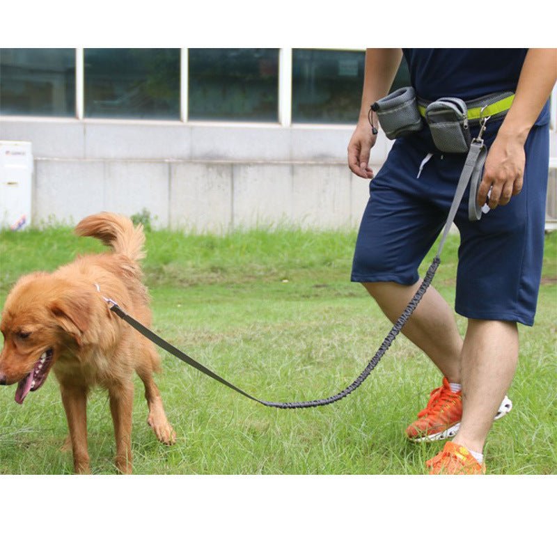 Adjustable Hands Free Dog Leash - key words