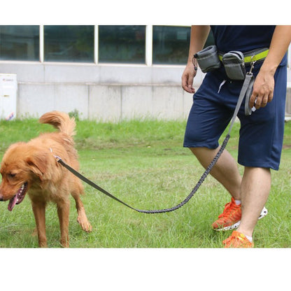 Adjustable Hands Free Dog Leash - key words