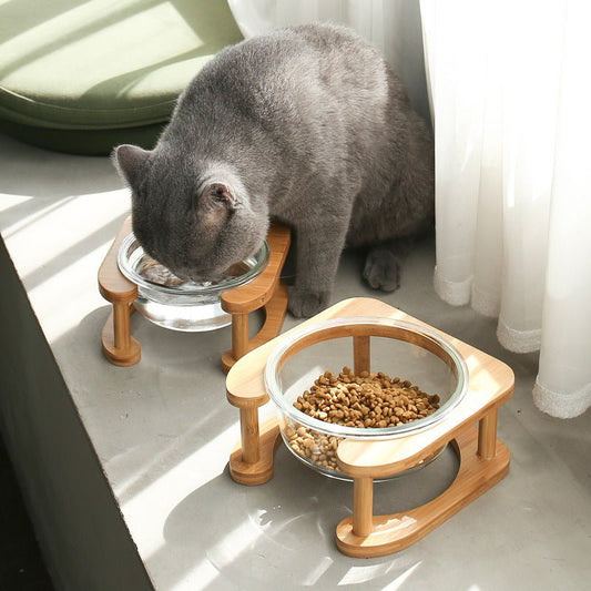 Glass cat bowl cat food bowl cat food bowl - key words